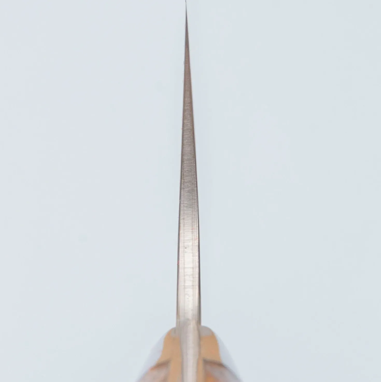 Takeshi Saji Rainbow Aogami Ironwood Santoku 18 cm