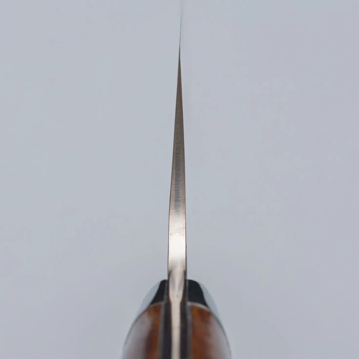 Takeshi Saji Rainbow Aogami Ironwood Nakiri