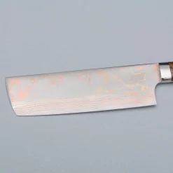 Takeshi Saji Rainbow Aogami Ironwood Nakiri