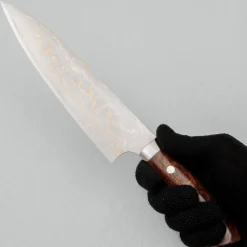 Takeshi Saji Rainbow Aogami Ironwood Gyuto 21 cm