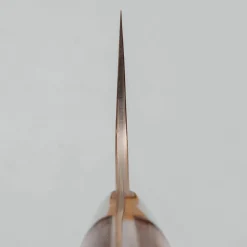 Takeshi Saji Rainbow Aogami Ironwood Gyuto 21 cm