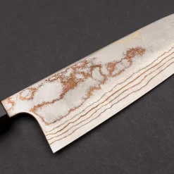 Takeshi Saji Rainbow Aogami Wa Santoku