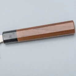 Takeshi Saji Rainbow Aogami Wa Sujihiki 27 cm