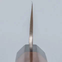 Takeshi Saji Rainbow Aogami Wa Sujihiki 27 cm