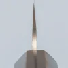 Takeshi Saji Rainbow Aogami Wa Petty 13.5 cm