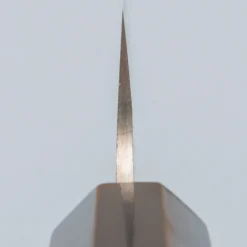 Takeshi Saji Rainbow Aogami Wa Petty 13.5 cm