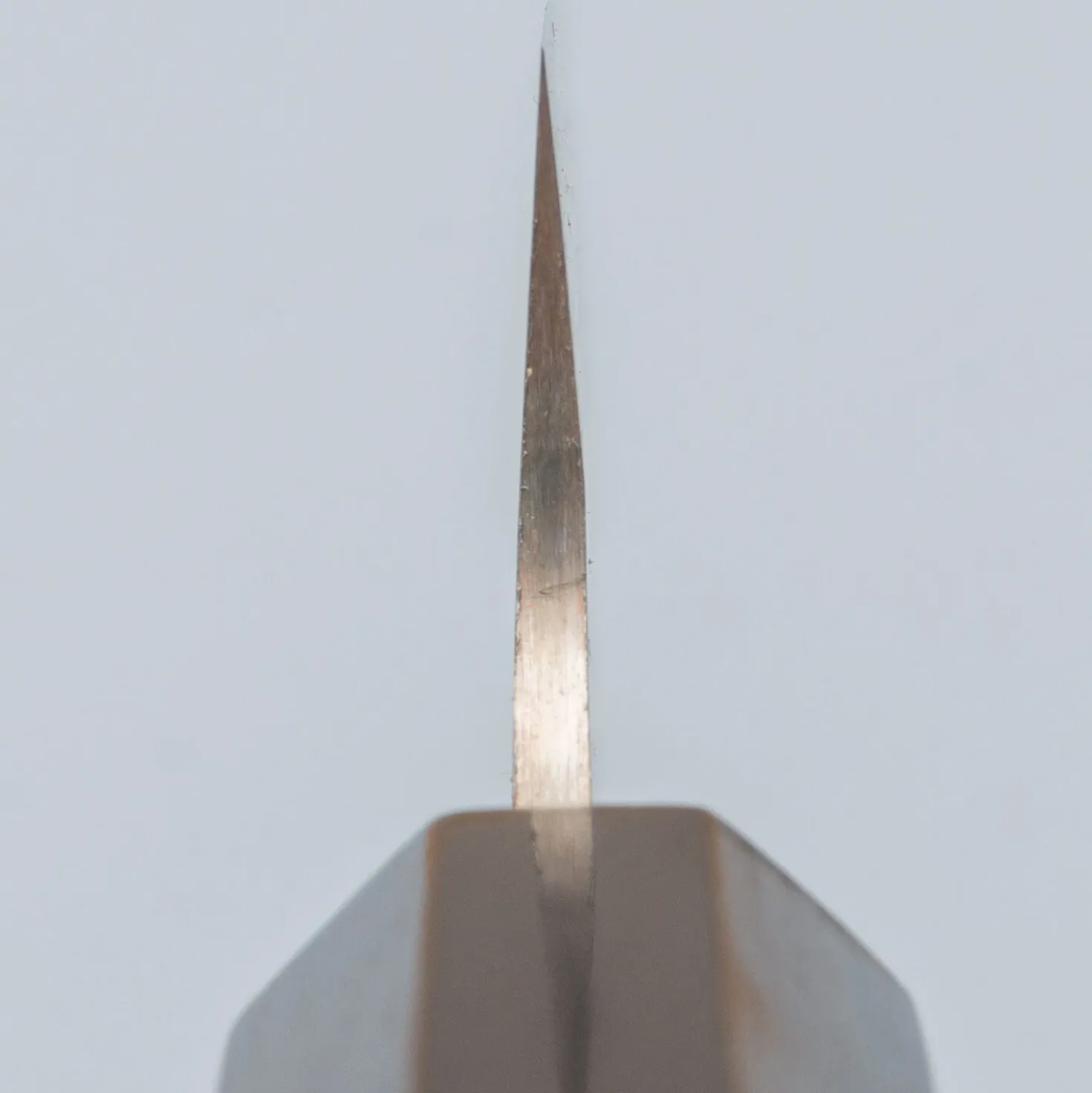 Takeshi Saji Rainbow Aogami Wa Petty 13.5 cm