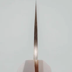 Takeshi Saji Rainbow Aogami Wa Ebony Hoorn Santoku