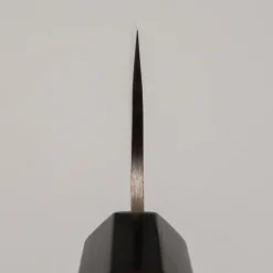 Takeshi Saji Rainbow Aogami Wa Koksmes 24 cm