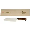 Takeshi Saji Rainbow Bunka Ironwood
