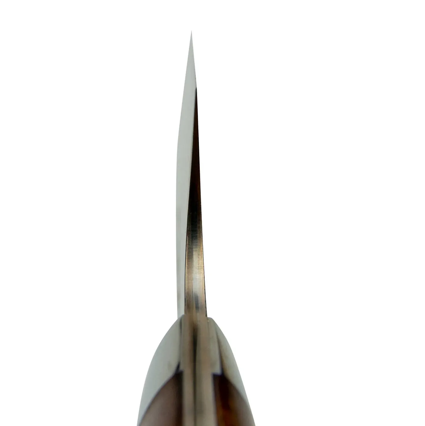 Takeshi Saji Rainbow Bunka Ironwood