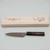 Takeshi Saji Rainbow Nickel VG10 Petty 13 cm
