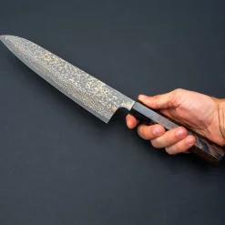 Takeshi Saji Rainbow Nickel VG10 Gyuto 24 cm