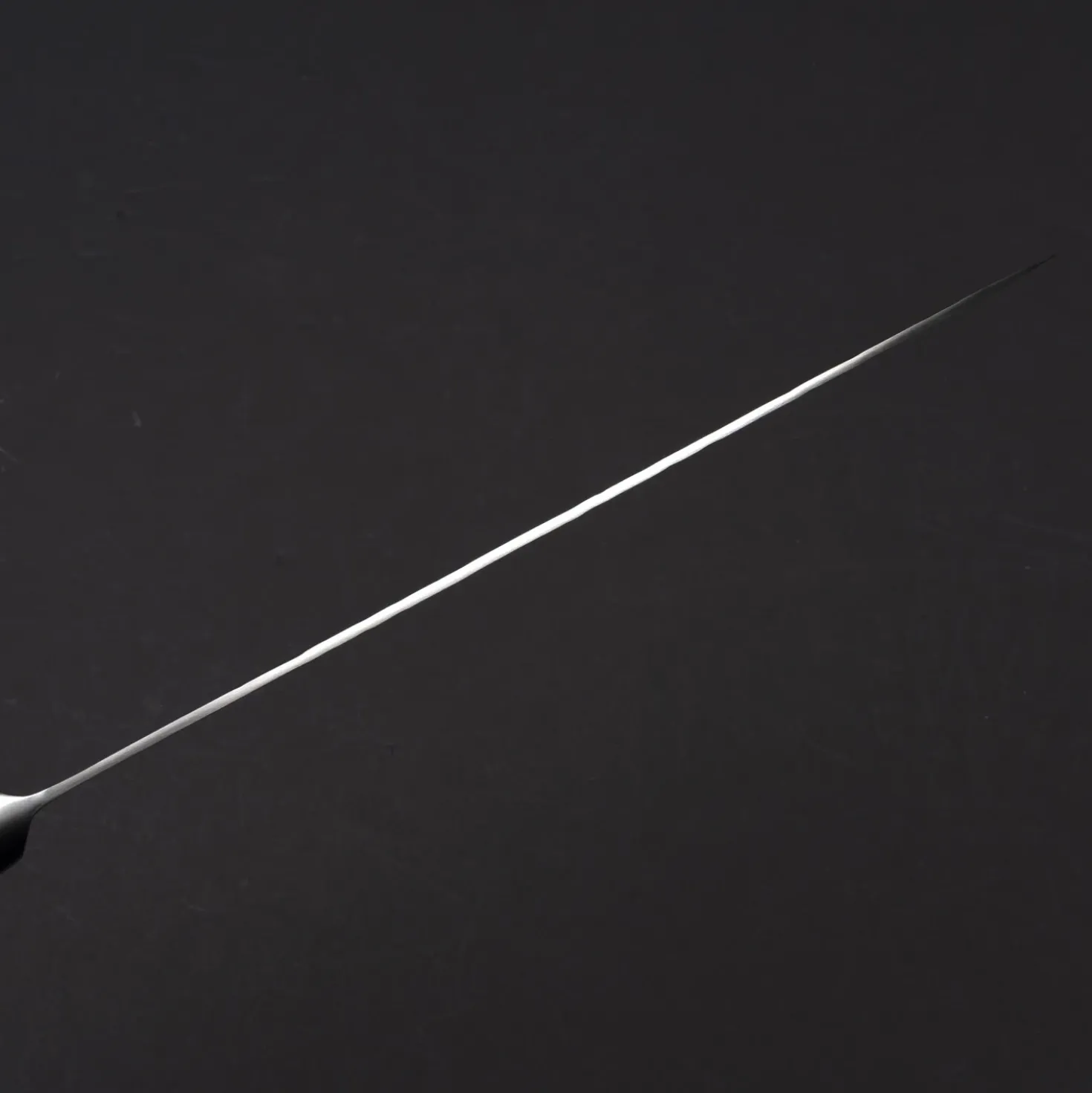 Takeshi Saji R2 Tsuchime Gyuto 24 cm