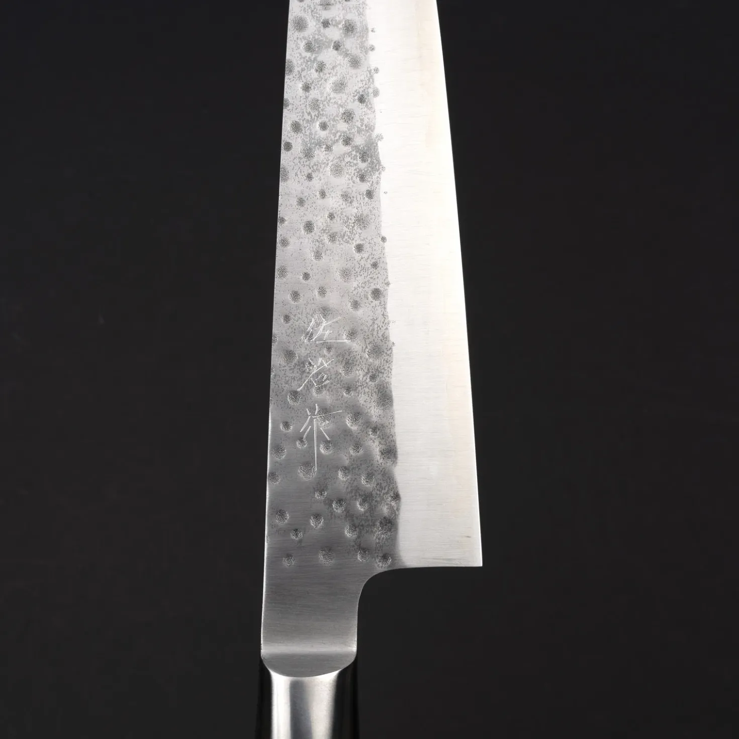 Takeshi Saji R2 Tsuchime Gyuto 24 cm