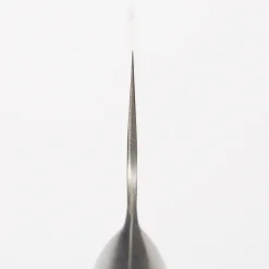 Takeshi Saji R2 Tsuchime Gyuto 21 cm