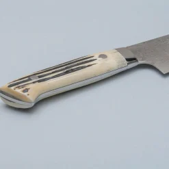 Takeshi Saji SG2 Diamond Damast Staghorn Gyuto 24 cm