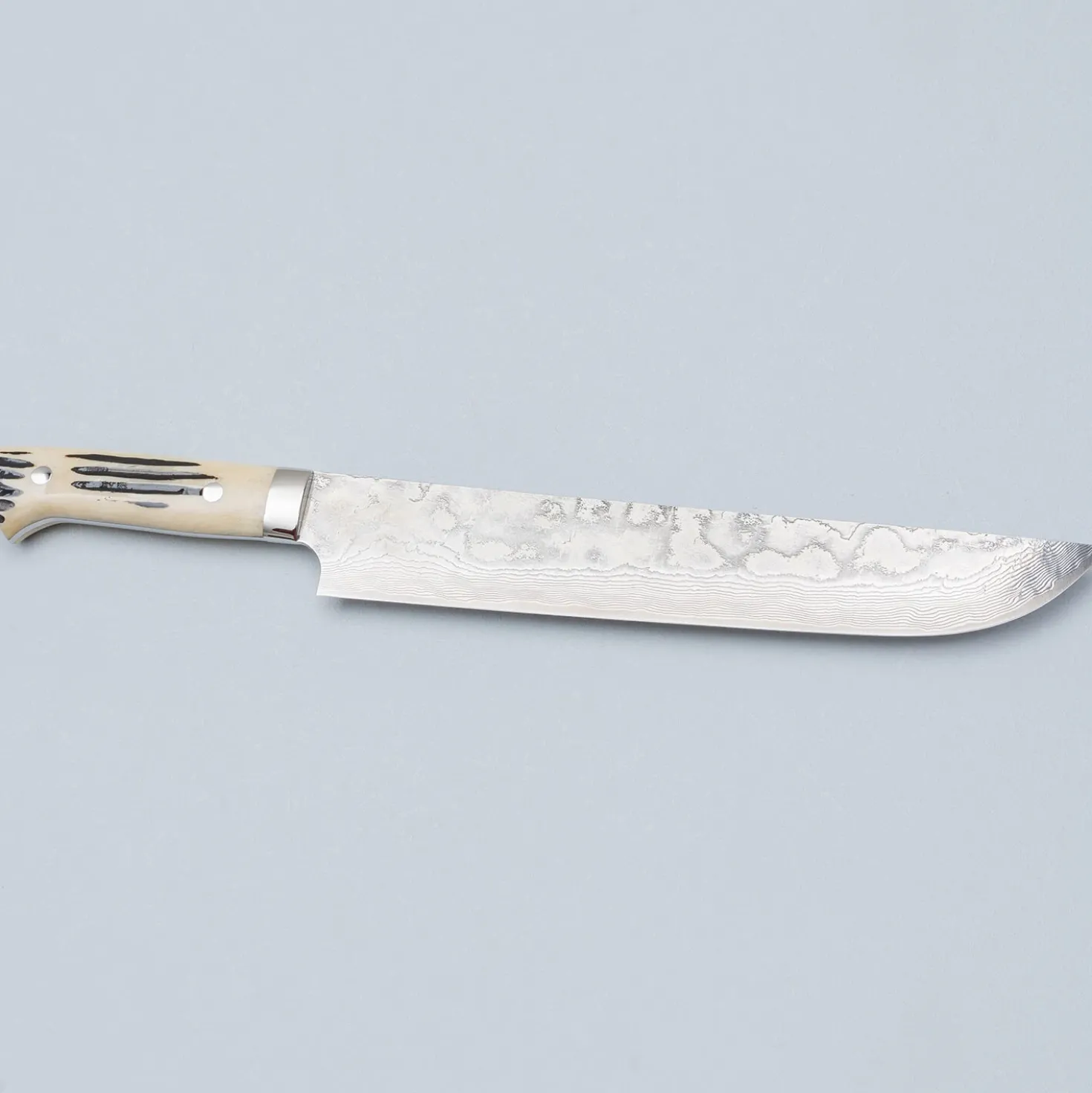 Takeshi Saji SG2 Diamond Damast Staghorn Sakimaru 24 cm