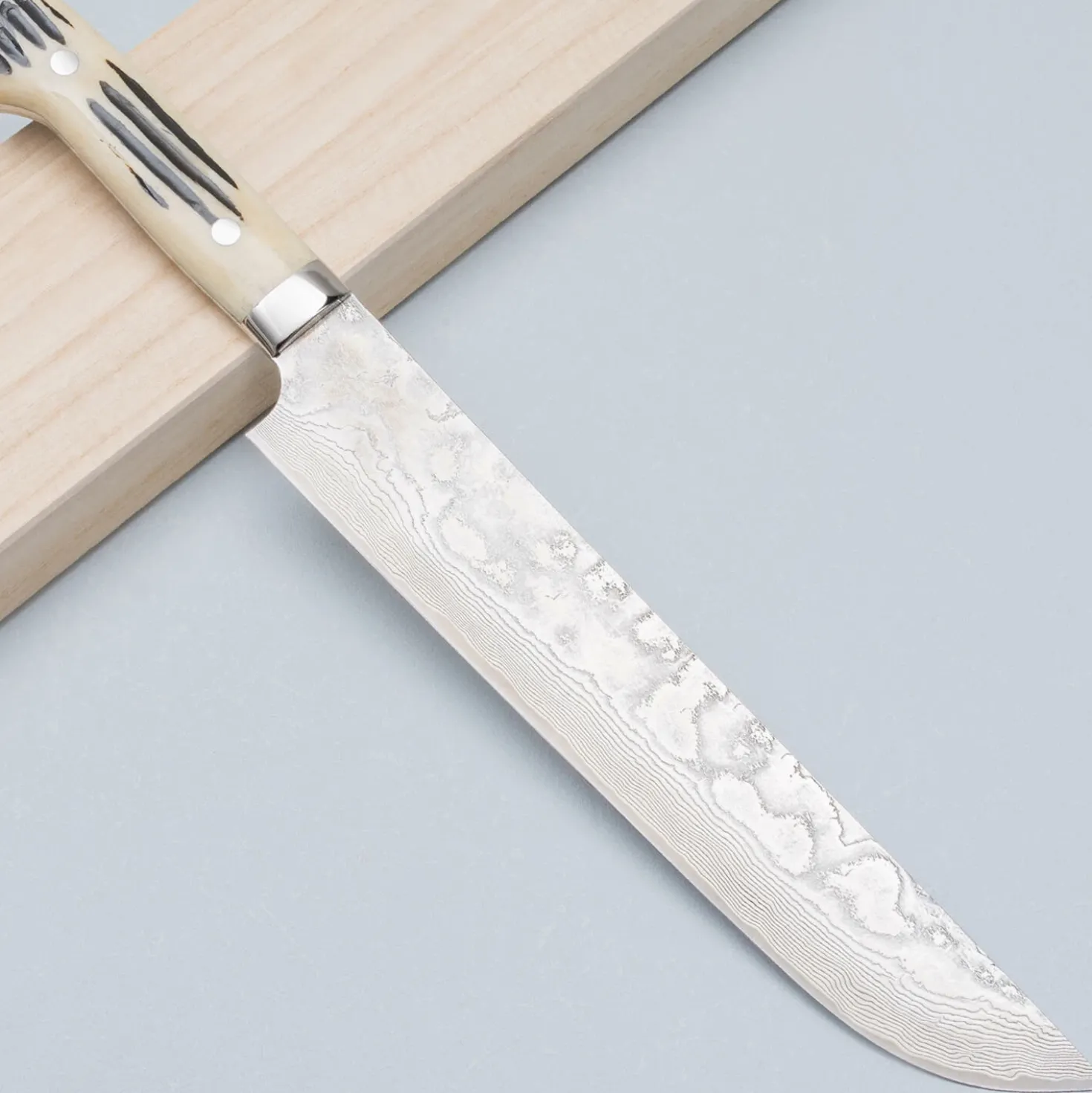 Takeshi Saji SG2 Diamond Damast Staghorn Sakimaru 24 cm