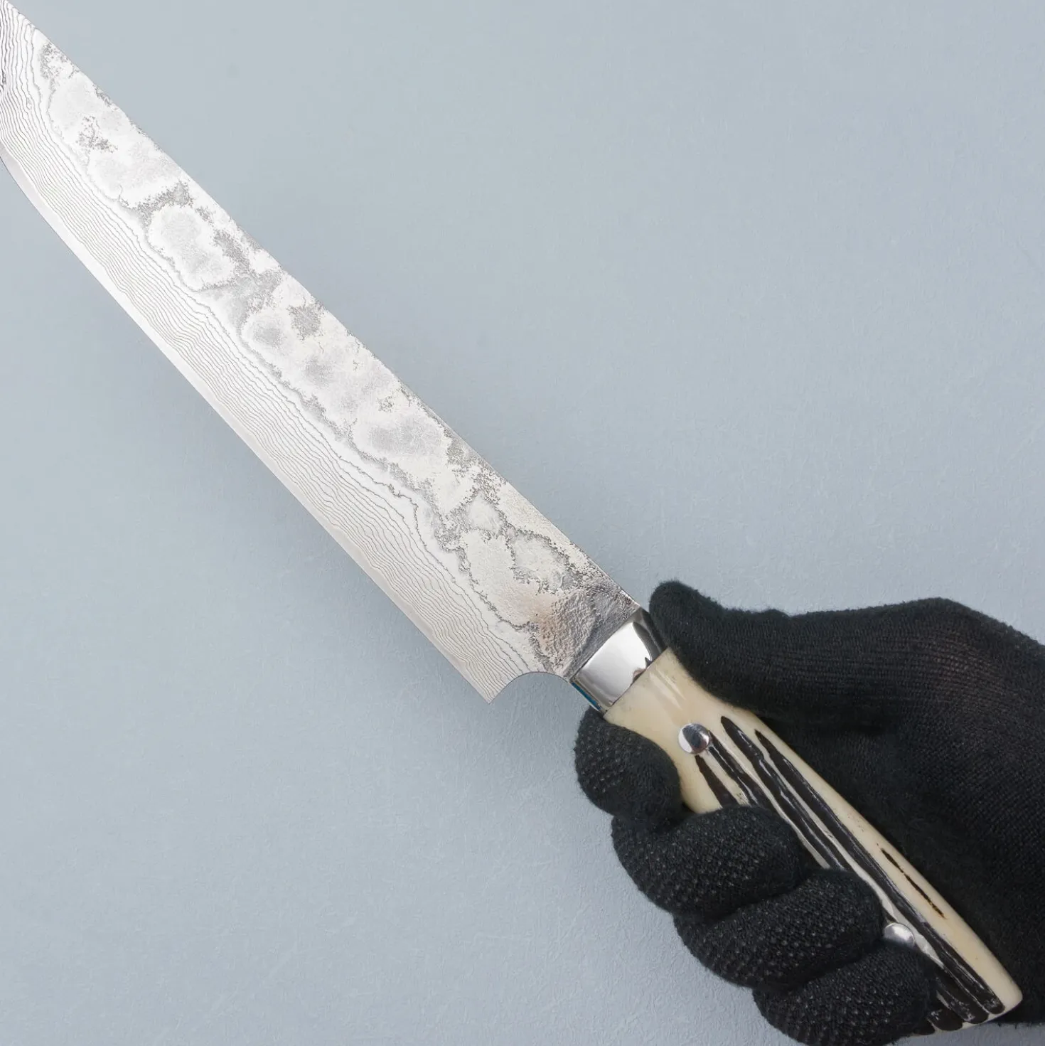 Takeshi Saji SG2 Diamond Damast Staghorn Sakimaru 24 cm