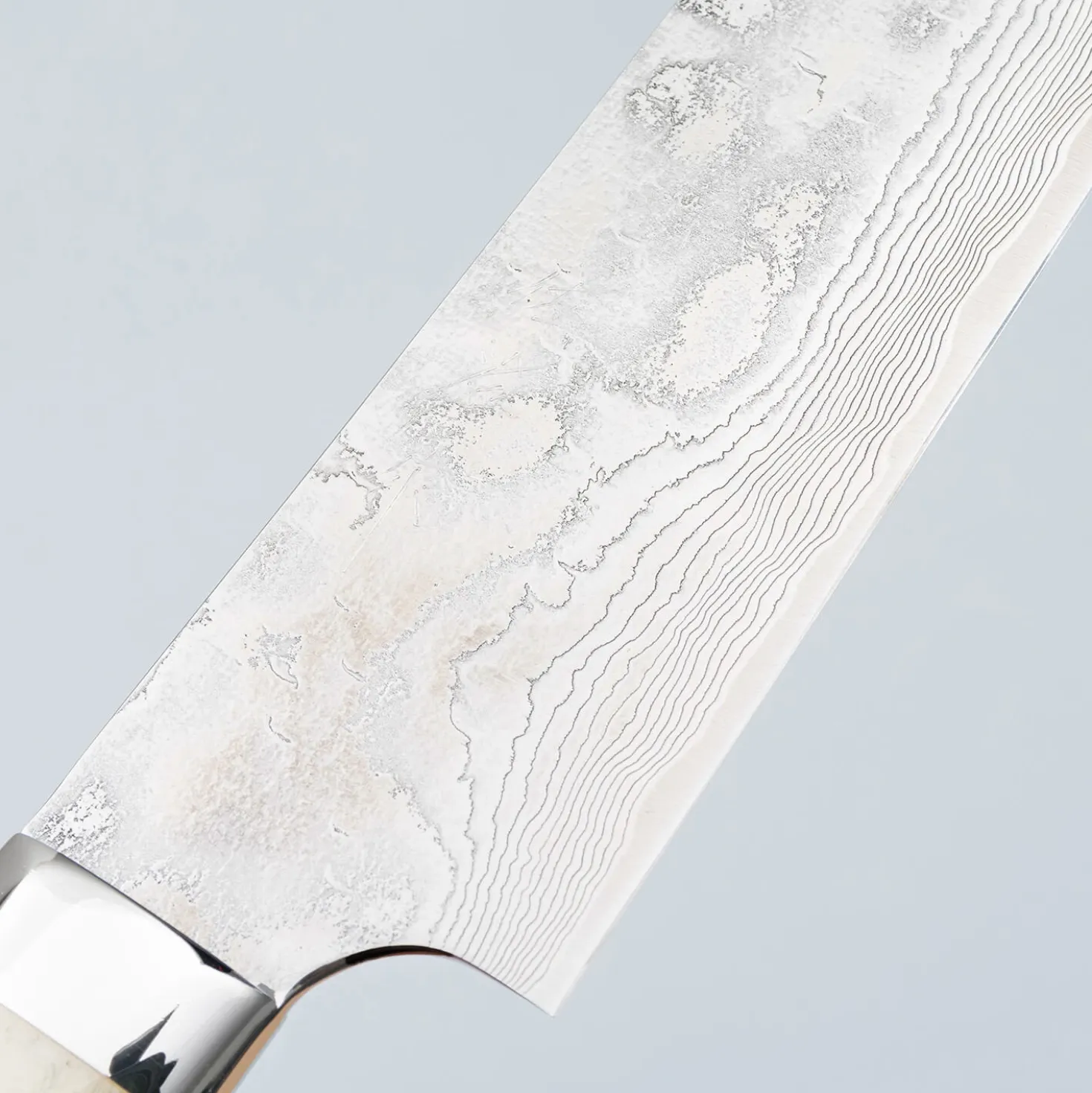 Takeshi Saji SG2 Diamond Damast Staghorn Sakimaru 24 cm