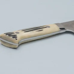 Takeshi Saji SG2 Diamond Damast Staghorn Sakimaru 24 cm