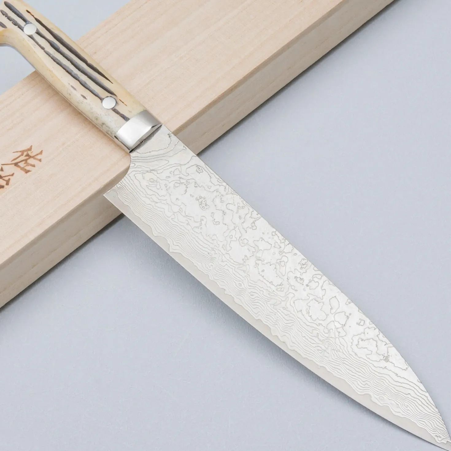 Takeshi Saji SG2 Diamond Damast Staghorn Gyuto 21 cm