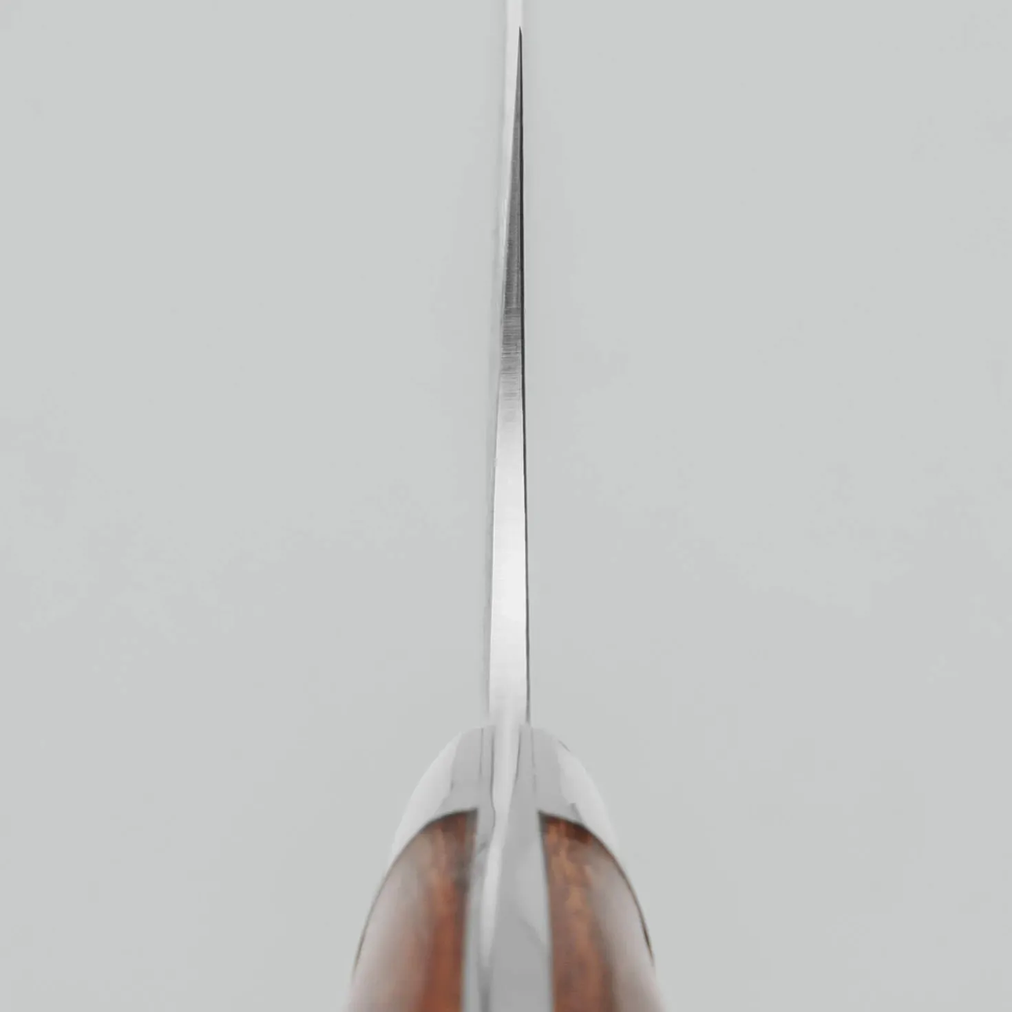 Takeshi Saji SG2 Diamond Damast Ironwood Gyuto 24 cm