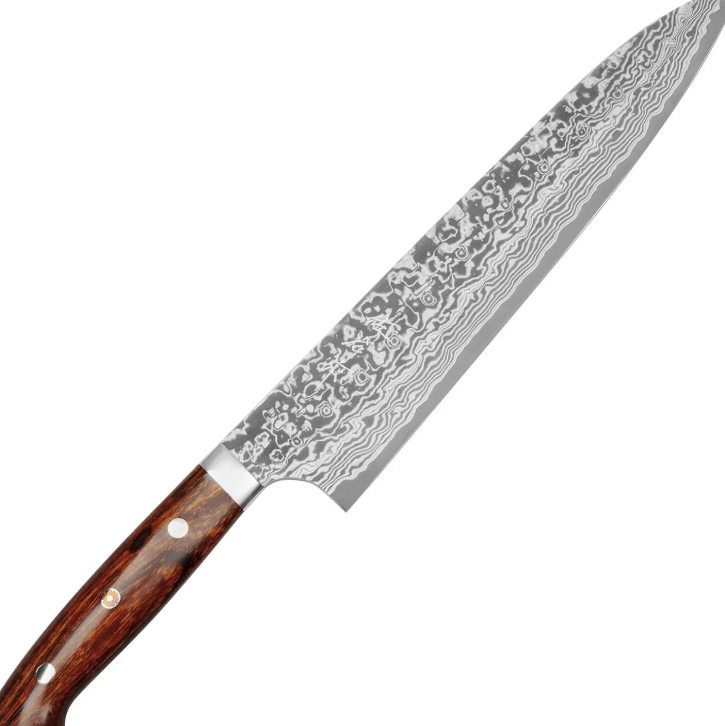 Takeshi Saji SG2 Diamond Damast Ironwood Gyuto 24 cm