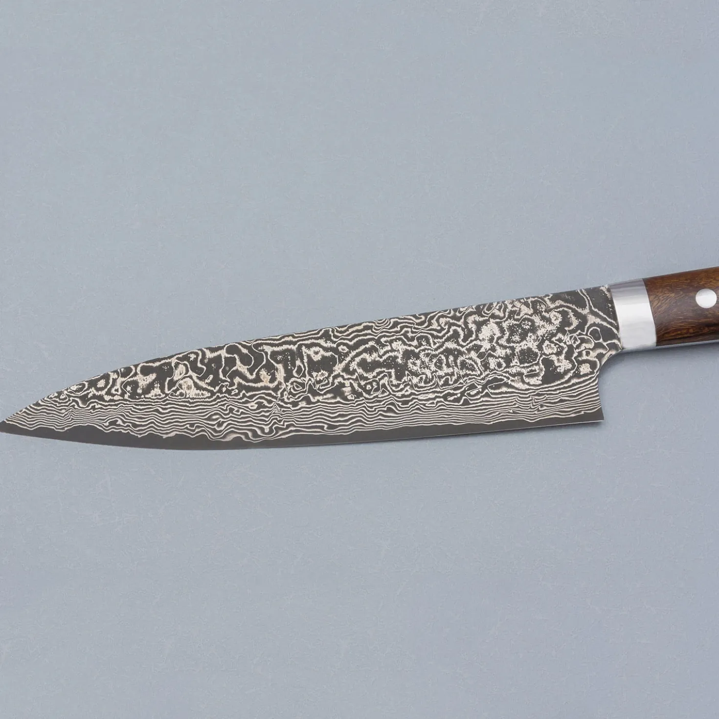 Takeshi Saji SG2 Nickel Damast Ironwood Gyuto 21 cm