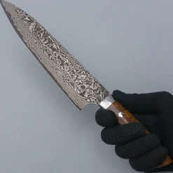 Takeshi Saji SG2 Nickel Damast Ironwood Gyuto 21 cm
