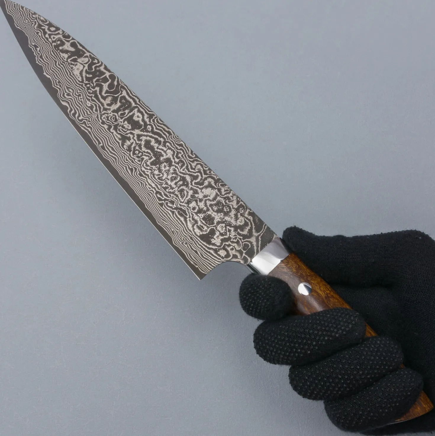 Takeshi Saji SG2 Nickel Damast Ironwood Gyuto 21 cm