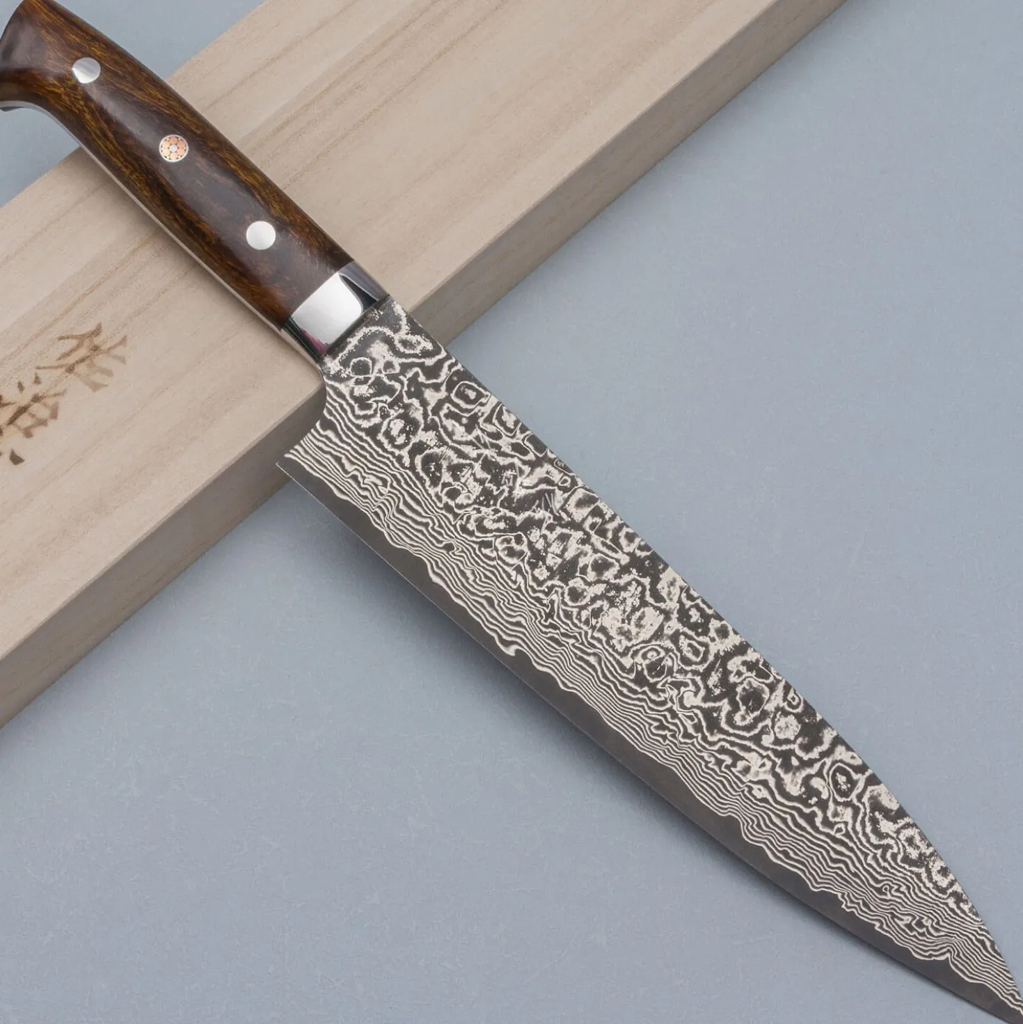 Takeshi Saji SG2 Nickel Damast Ironwood Gyuto 21 cm