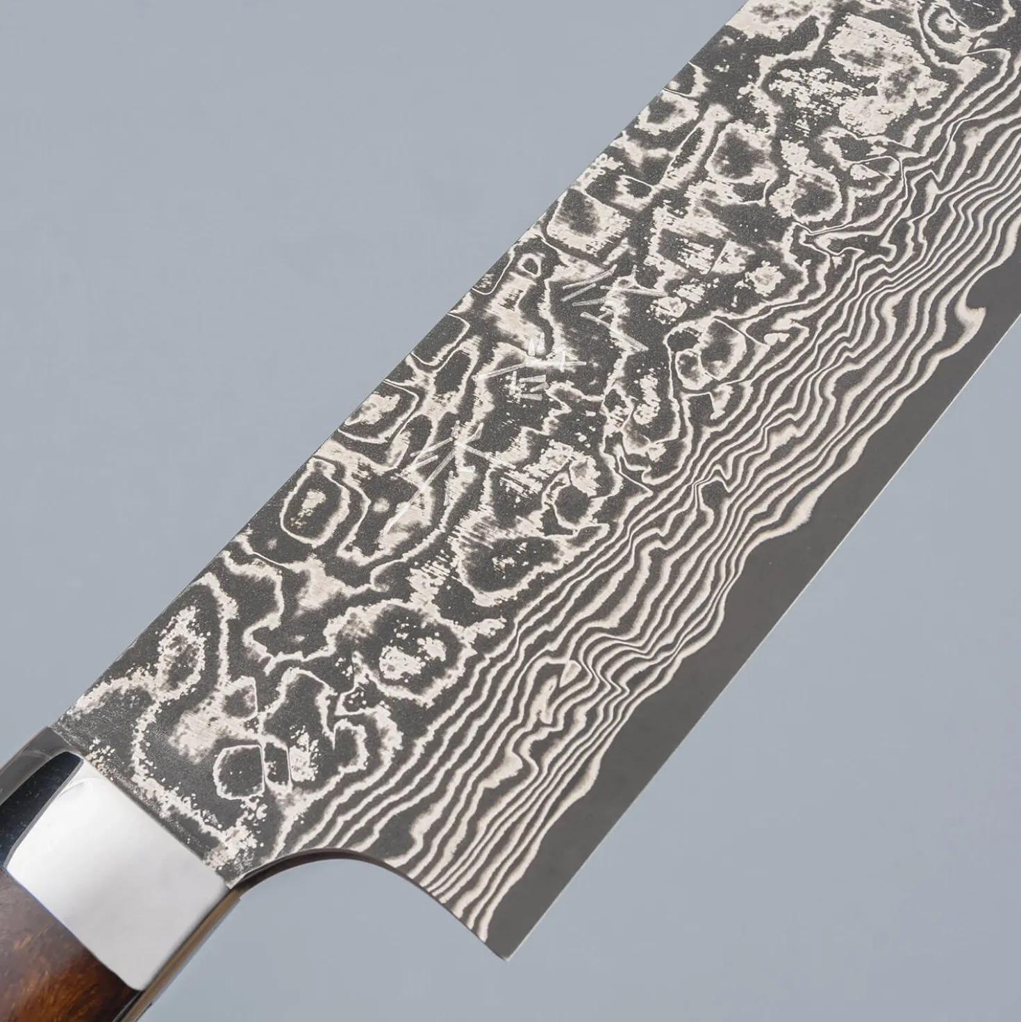 Takeshi Saji SG2 Nickel Damast Ironwood Gyuto 21 cm