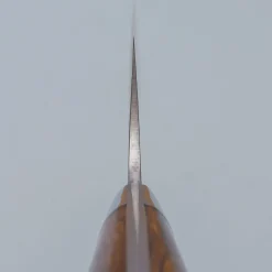 Takeshi Saji SG2 Nickel Damast Ironwood Gyuto 21 cm