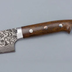 Takeshi Saji SG2 Nickel Damast Ironwood Gyuto 21 cm