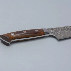 Takeshi Saji SG2 Nickel Damast Ironwood Gyuto 21 cm