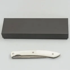 Takeshi Saji SG2 Nickel Damast White Steak knife 10 cm