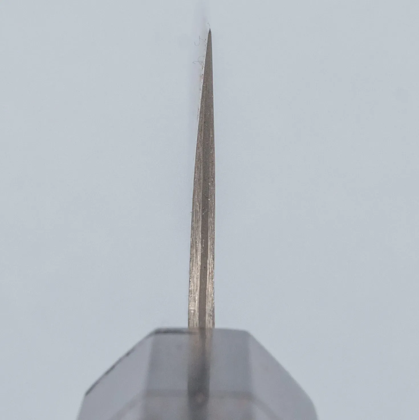 Takeshi Saji SG2 Nickel Damast Sujihiki 24 cm
