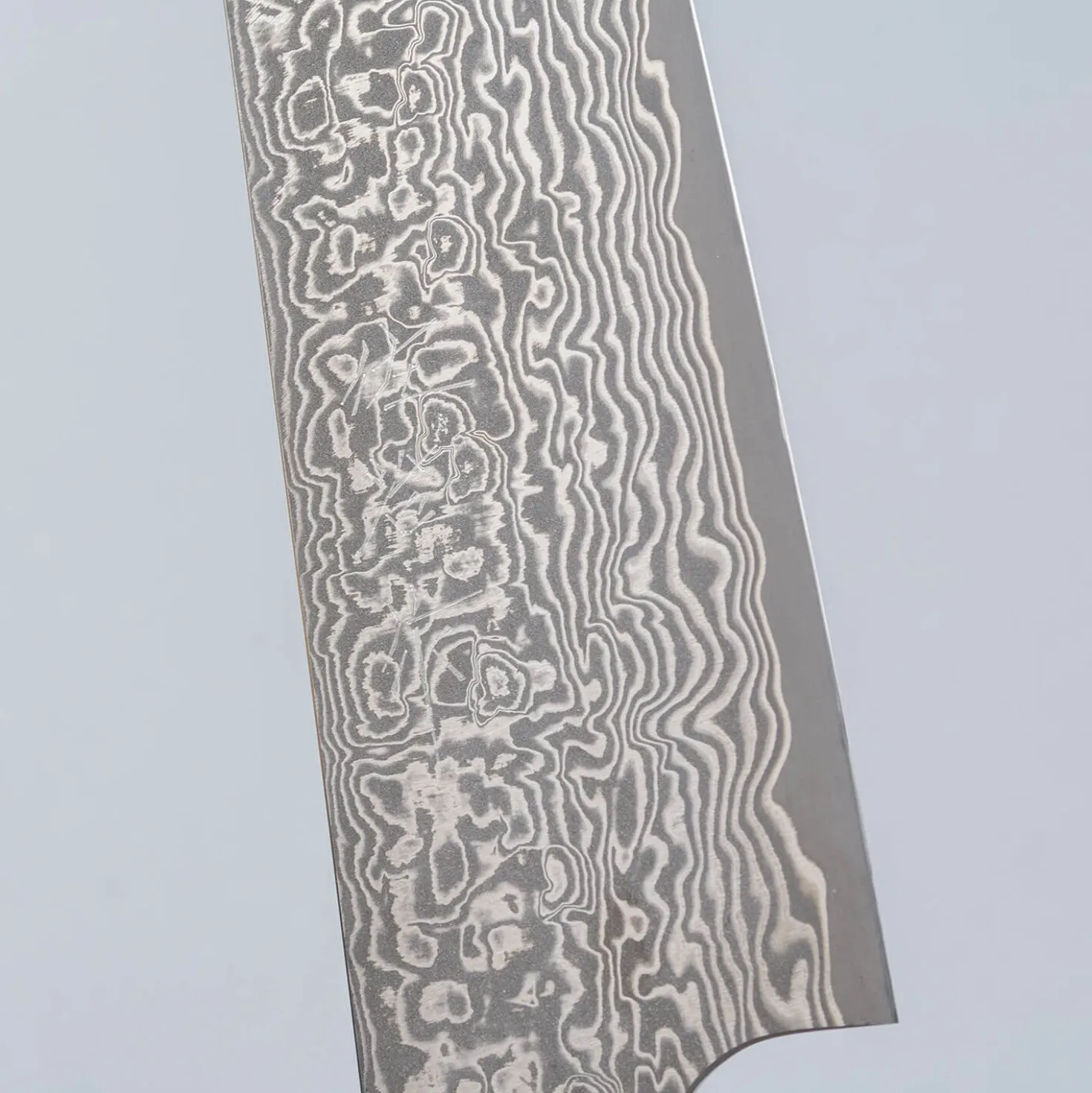Takeshi Saji SG2 Nickel Damast Ironwood Sujihiki 27 cm