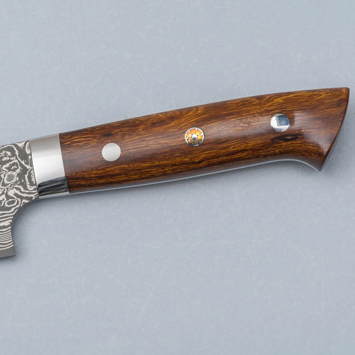Takeshi Saji SG2 Nickel Damast Ironwood Sujihiki 27 cm