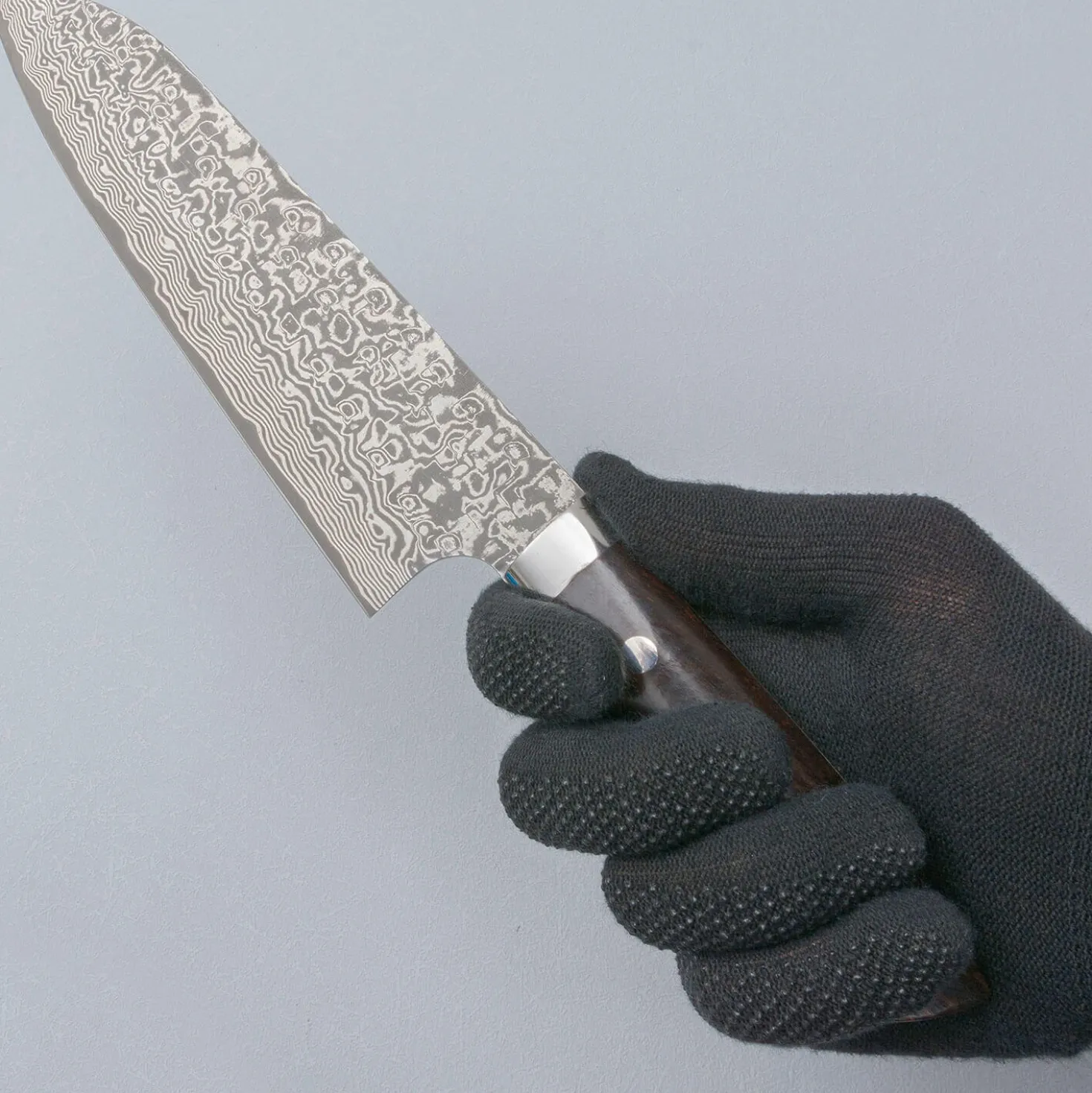 Takeshi Saji SG2 Nickel Damast Ironwood Santoku 18 cm