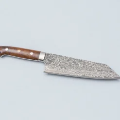 Takeshi Saji SG2 Nickel Damast Ironwood Bunka 17.5 cm