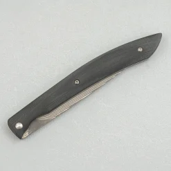 Takeshi Saji SG2 Nickel Damast Black Steak knife 10 cm