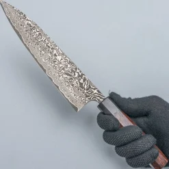 Takeshi Saji SG2 Nickel Damast Gyuto 21 cm
