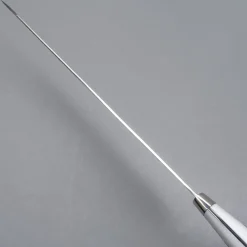 Takeshi Saji SRS13 Corian Gyuto 27 cm