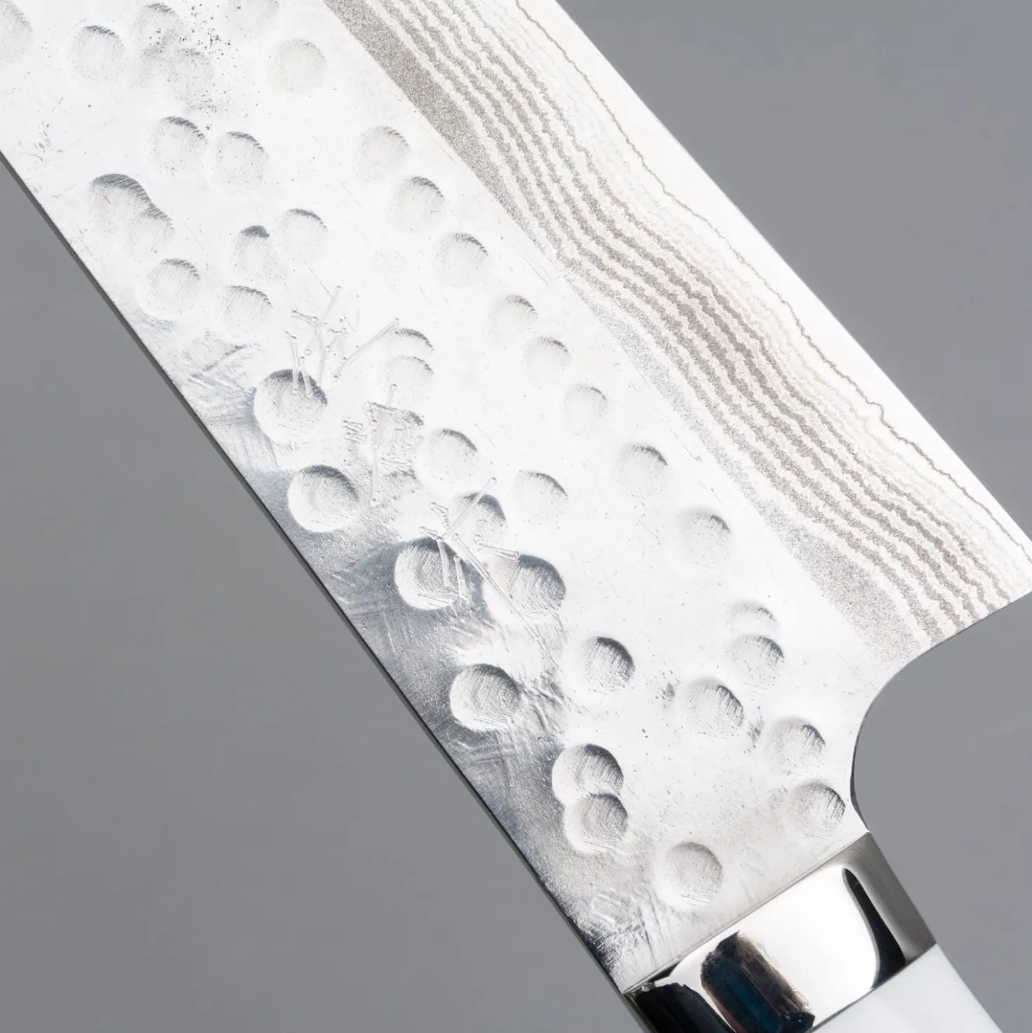 Takeshi Saji SRS13 Corian Gyuto 27 cm