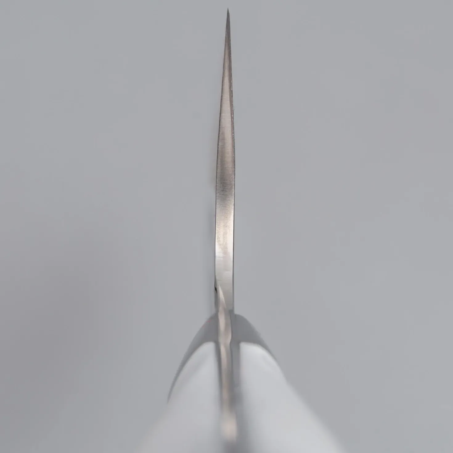 Takeshi Saji SRS13 Corian Gyuto 27 cm