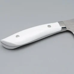 Takeshi Saji SRS13 Corian Gyuto 24 cm
