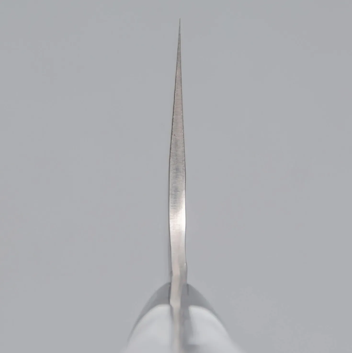 Takeshi Saji SRS13 Corian Santoku